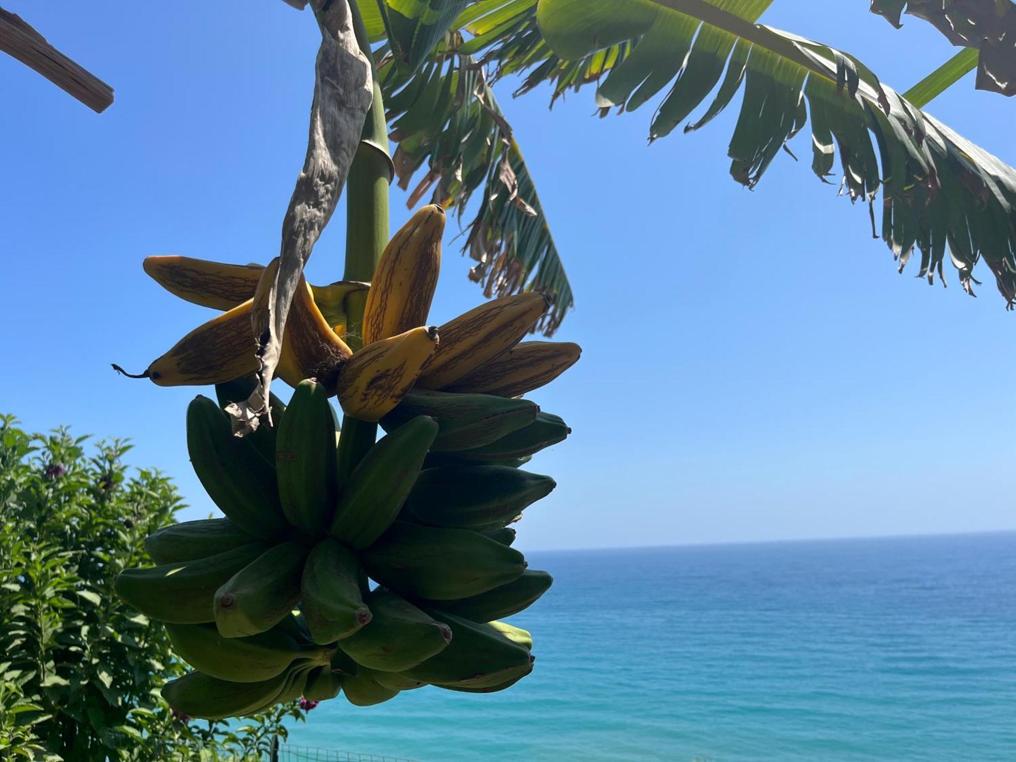 Villa Casa Monnalisa - Calandre Sabbie Oro Ventimiglia Esterno foto